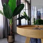 Apartment Ika Delux Burgas