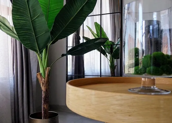 Апартаменты Ika Delux Бургас